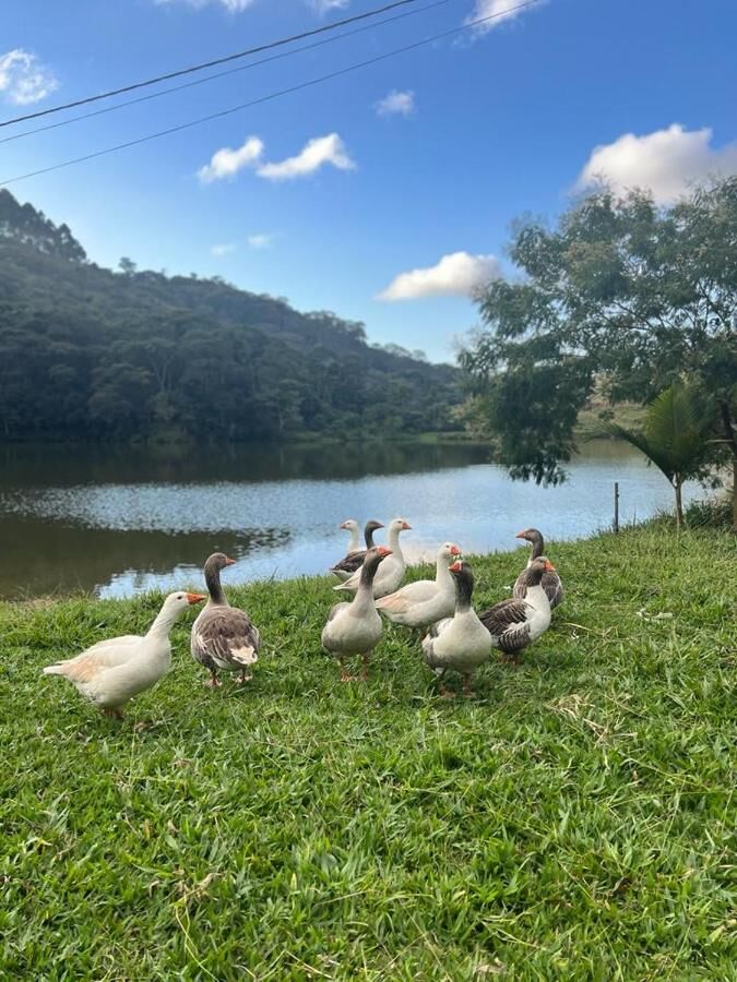 Horta e recreação infantil